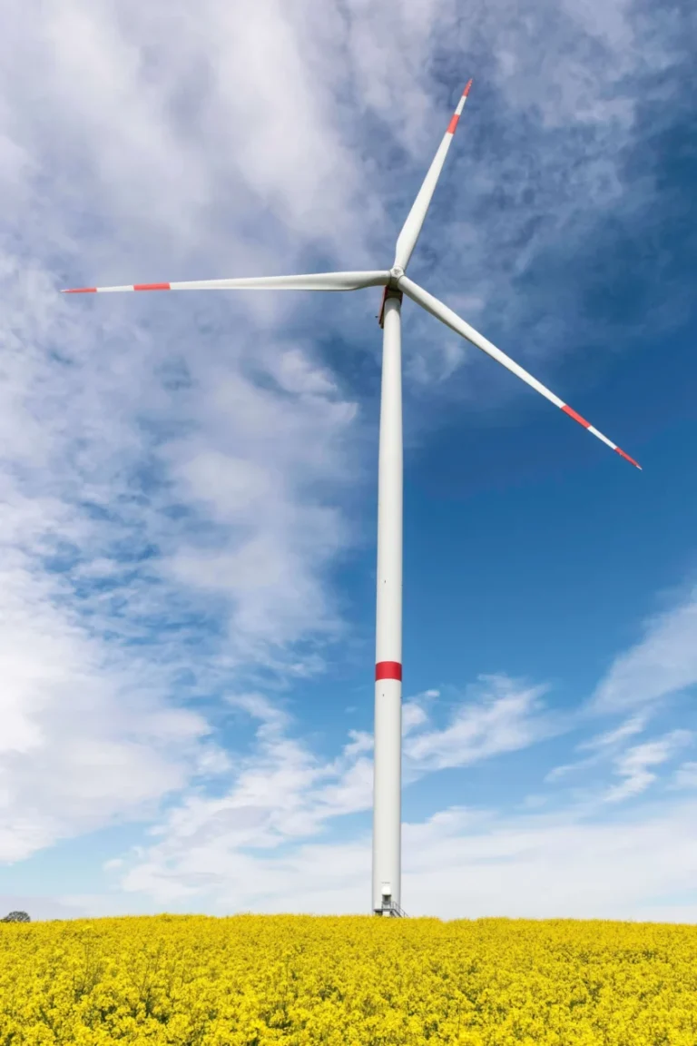 Foto von Nicole Weiser – Windkraftanlage im Rapsfeld